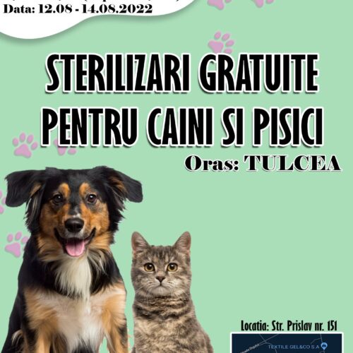 Sterilizări gratuite pentru câini şi pisici [RO]