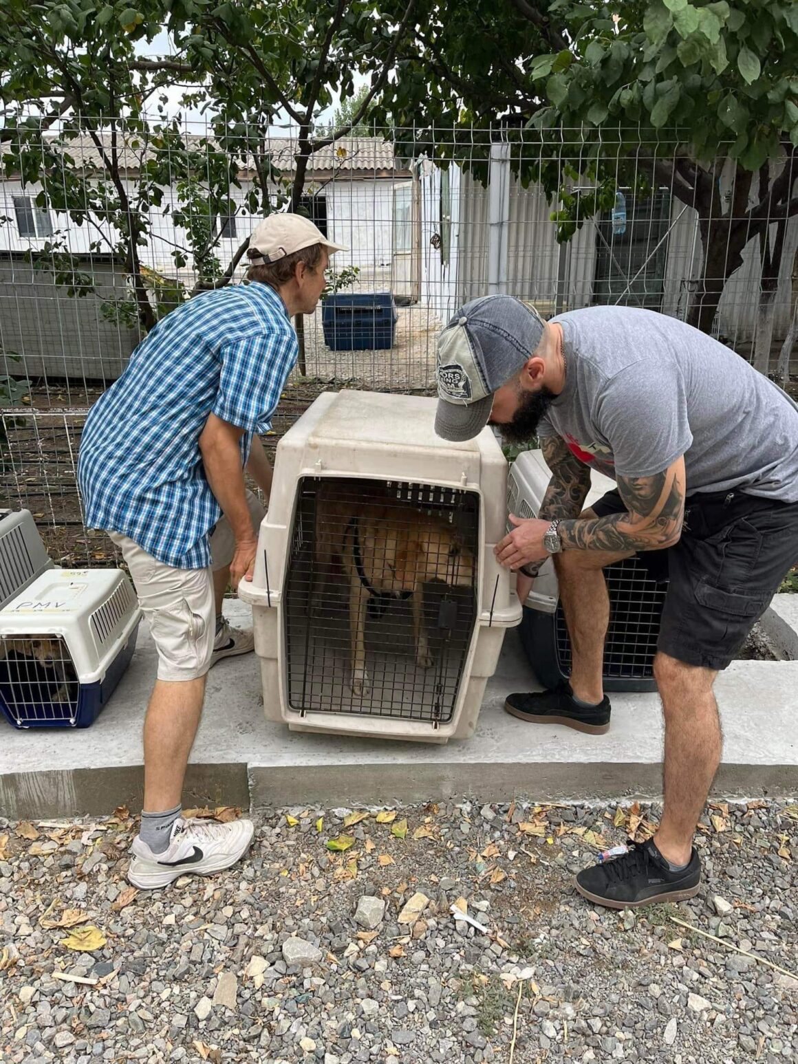 Day 2 of the spayathon