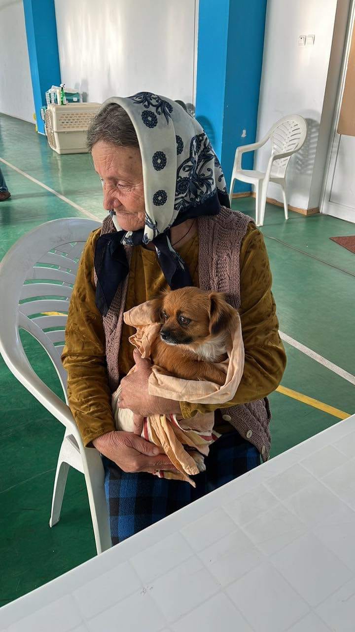 Spayathon day 2 update and pictures