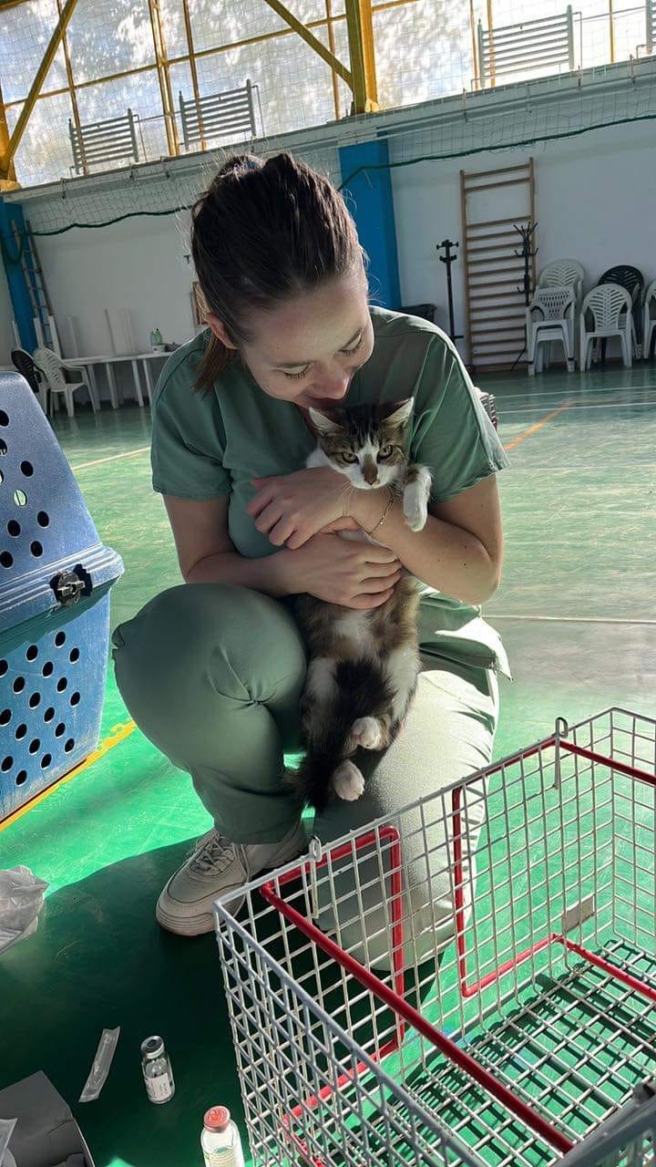 Spayathon day 2 update and pictures