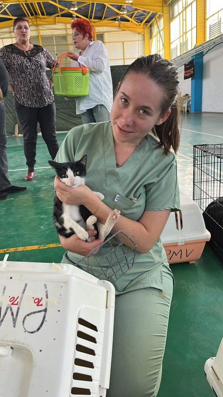 Spayathon day 2 update and pictures