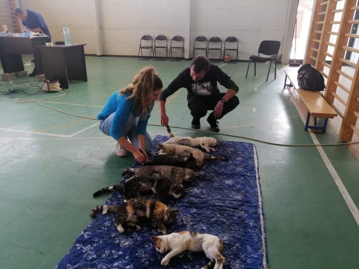 Take a look at some photos from day 1 of the spayathon event