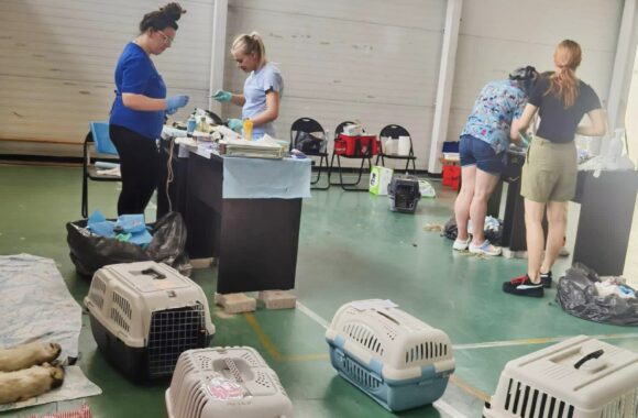 Our spayathon event yesterday went fantastically well!