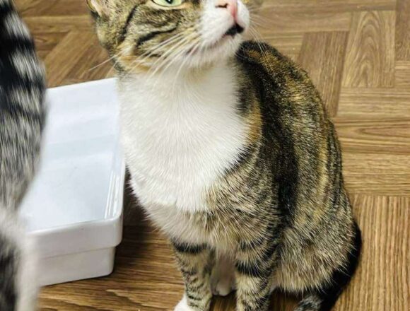 the-great-catsby-563594152_1908431660553247_6147988700552685858_n Ethel