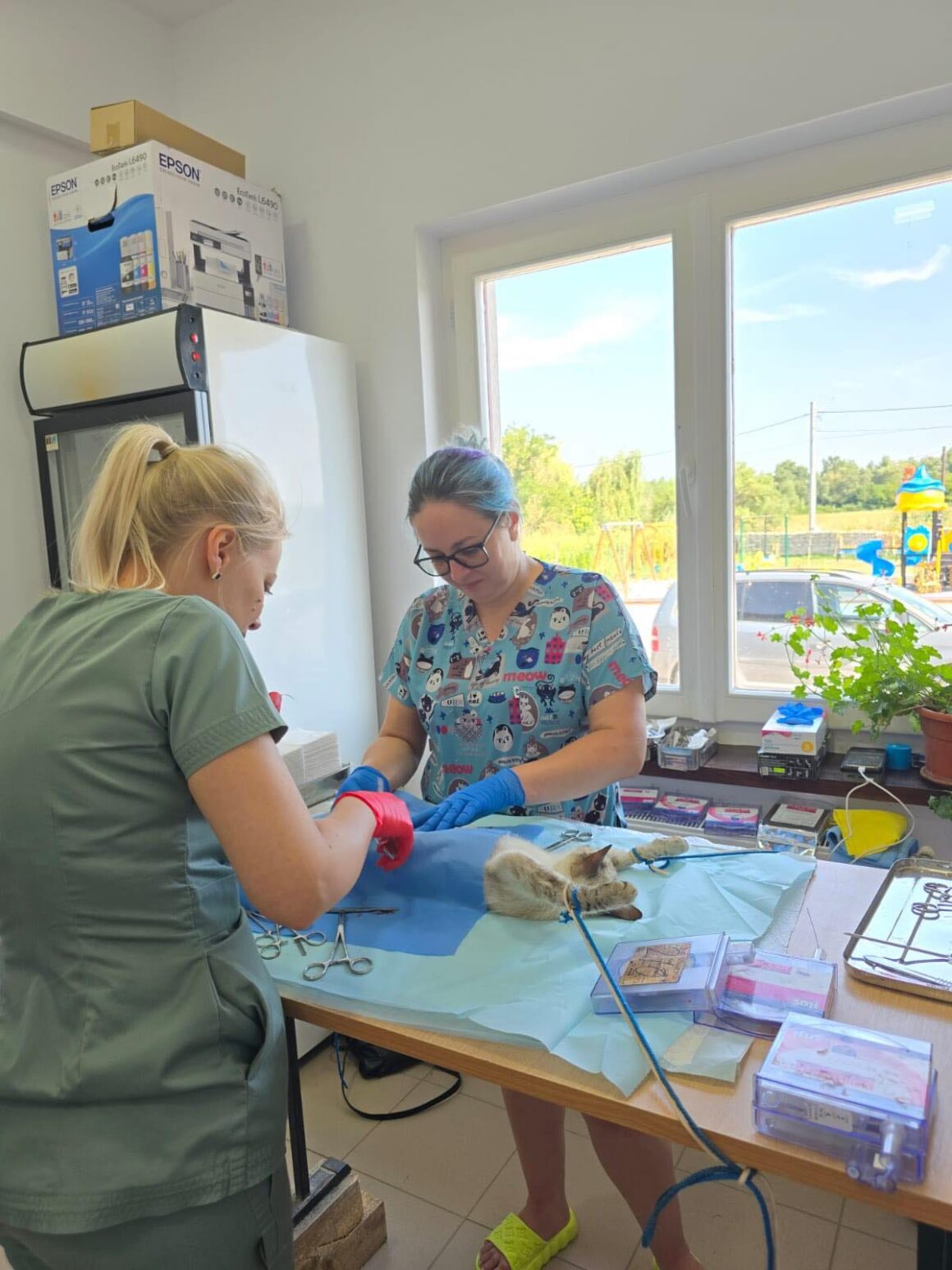 The second day of the Tulcea spayathon concluded with a fantastic 42 more animals spayed