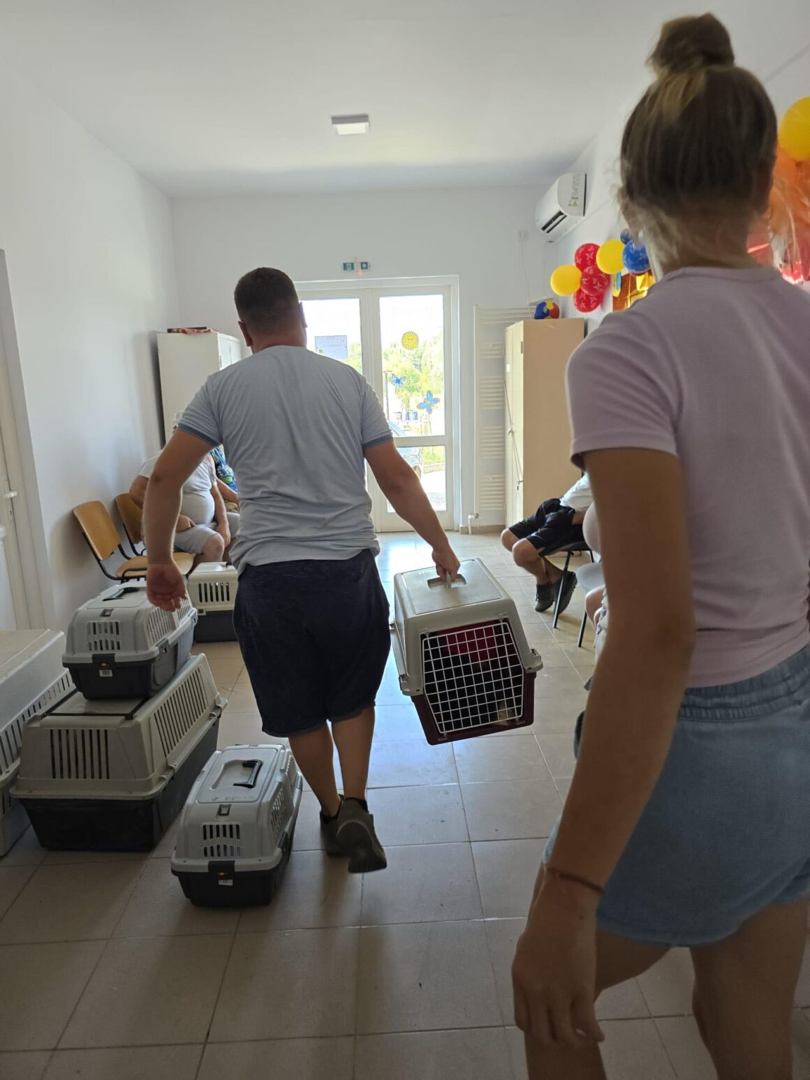 The second day of the Tulcea spayathon concluded with a fantastic 42 more animals spayed