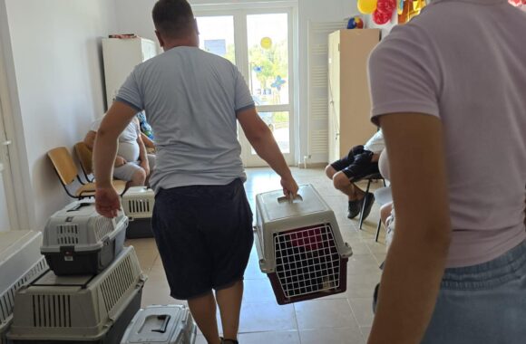 The second day of the Tulcea spayathon concluded with a fantastic 42 more animals spayed