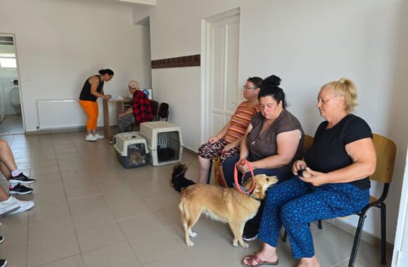 The second day of the Tulcea spayathon concluded with a fantastic 42 more animals spayed