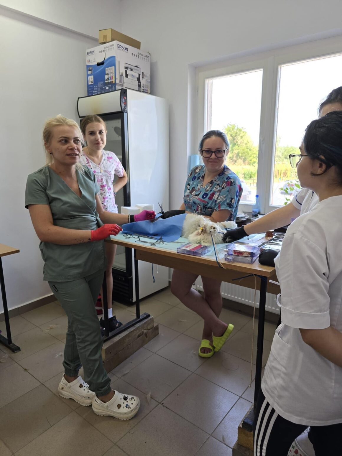 The second day of the Tulcea spayathon concluded with a fantastic 42 more animals spayed