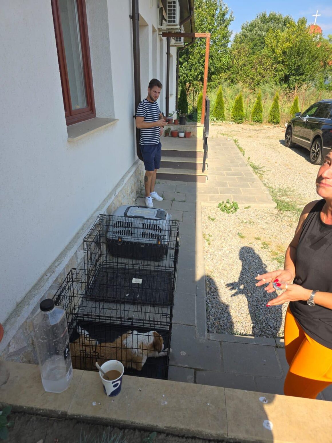 The second day of the Tulcea spayathon concluded with a fantastic 42 more animals spayed