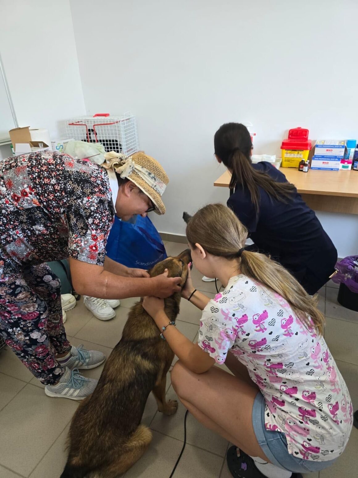 The second day of the Tulcea spayathon concluded with a fantastic 42 more animals spayed