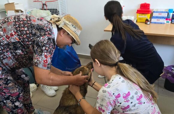 The second day of the Tulcea spayathon concluded with a fantastic 42 more animals spayed