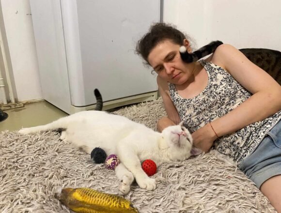 Rex (FIV+)