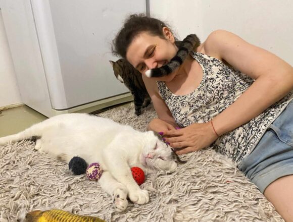 Rex (FIV+)
