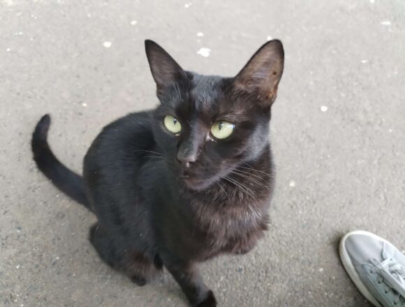 Onyx