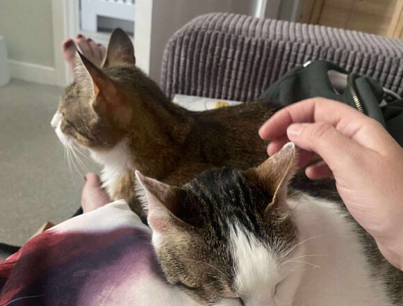 Tiggy & Genie