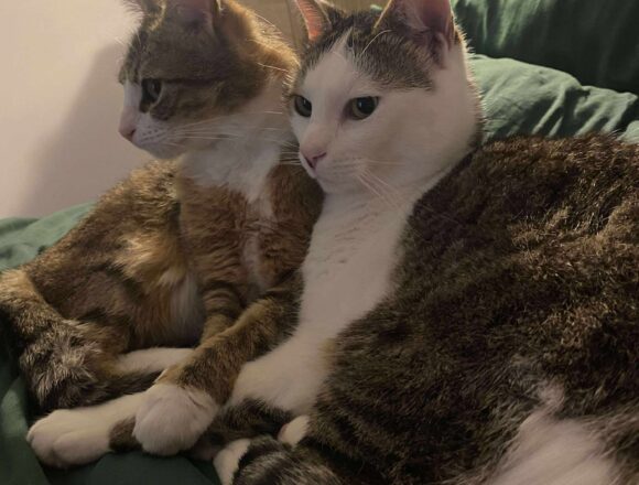 Tiggy & Genie