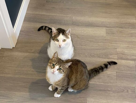 Tiggy & Genie