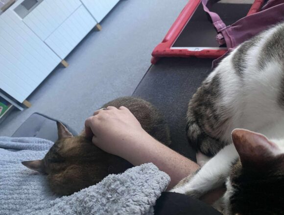 Tiggy & Genie