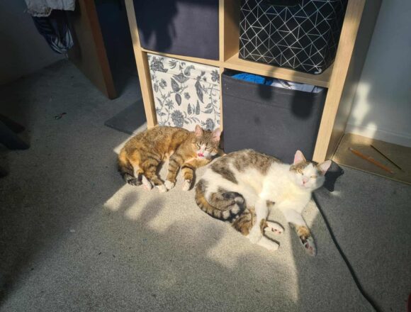 Tiggy & Genie