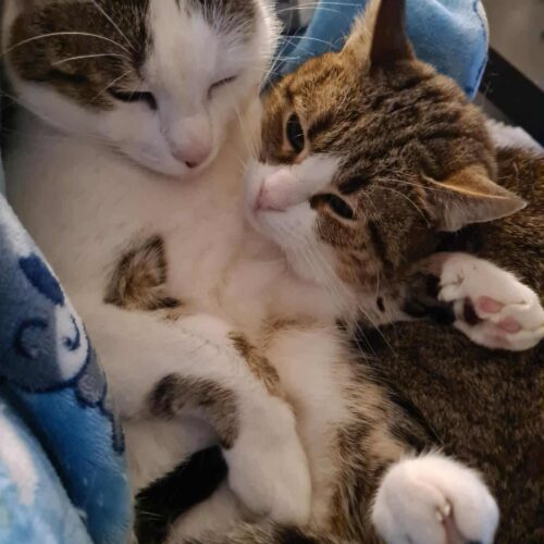 Tiggy & Genie