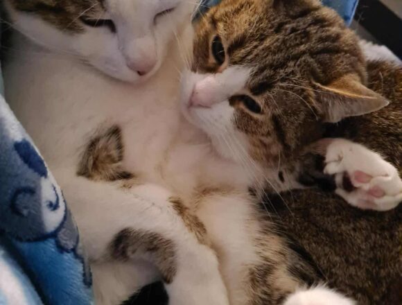 Tiggy & Genie