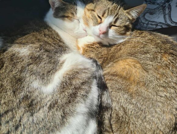 Tiggy & Genie