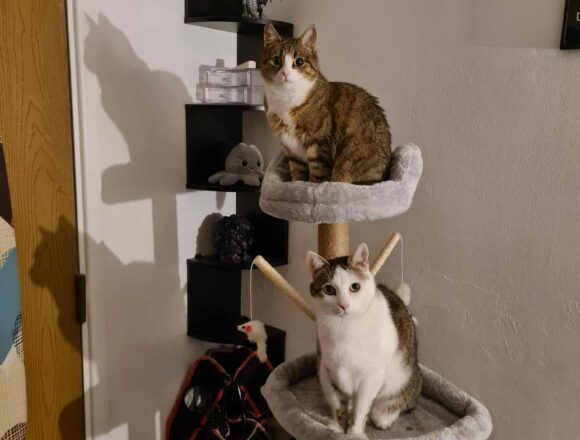 Tiggy & Genie