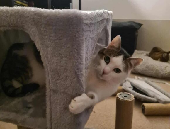 Tiggy & Genie