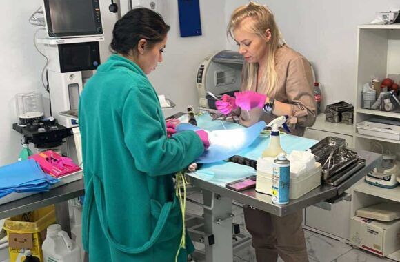 the-great-catsby-560077663_10172611414820029_3723663584659254188_n ⚠️🐾 132 cats and dogs neutered 🐾⚠️