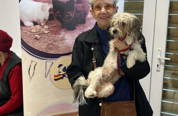 the-great-catsby-561551216_10172611412535029_5728300180207655127_n ⚠️🐾 132 cats and dogs neutered 🐾⚠️