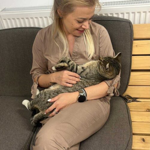 the-great-catsby-561841899_10172611405255029_3703877433218360794_n โ ๏ธ๐พ 132 cats and dogs neutered ๐พโ ๏ธ