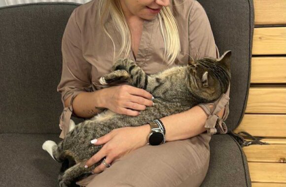 ⚠️🐾 132 cats and dogs neutered 🐾⚠️