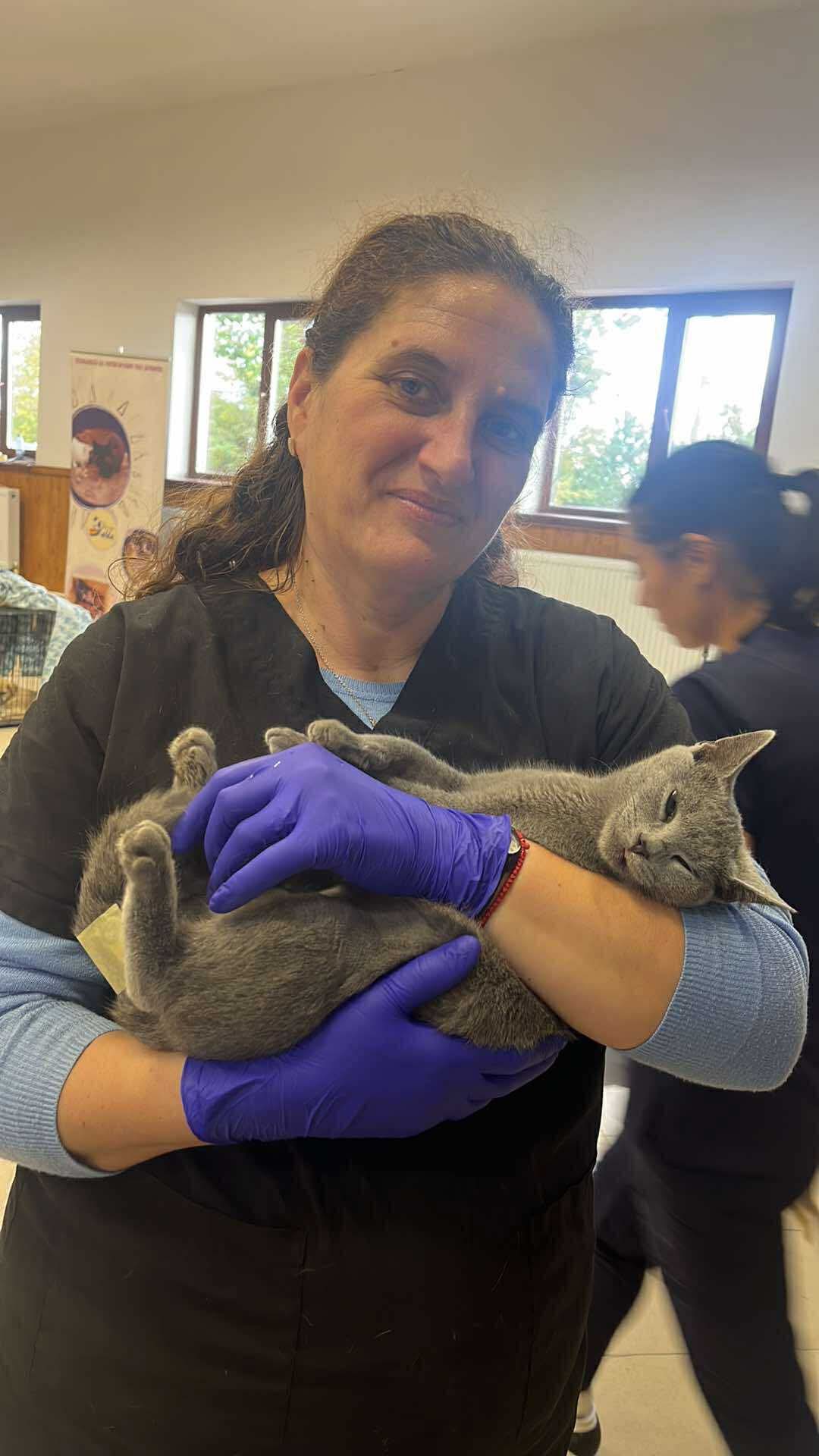 the-great-catsby-561967887_10172611413765029_2973910677708392093_n ⚠️🐾 132 cats and dogs neutered 🐾⚠️