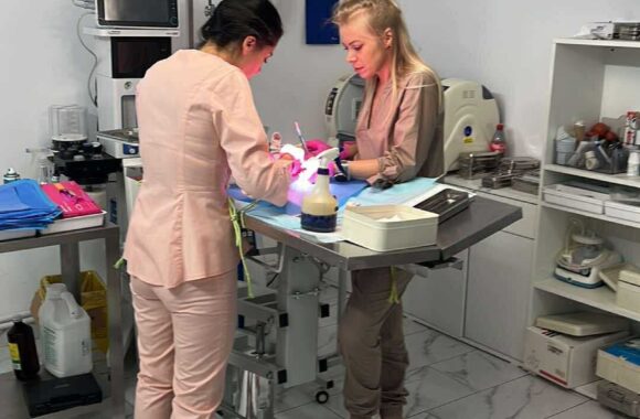 the-great-catsby-564781403_10172611410805029_282859591867872868_n ⚠️🐾 132 cats and dogs neutered 🐾⚠️