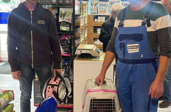 the-great-catsby-565672424_10172611415795029_405192615244300410_n ⚠️🐾 132 cats and dogs neutered 🐾⚠️