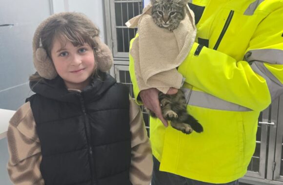 🔊SPRING SPAYATHON COMPLETE 🐾