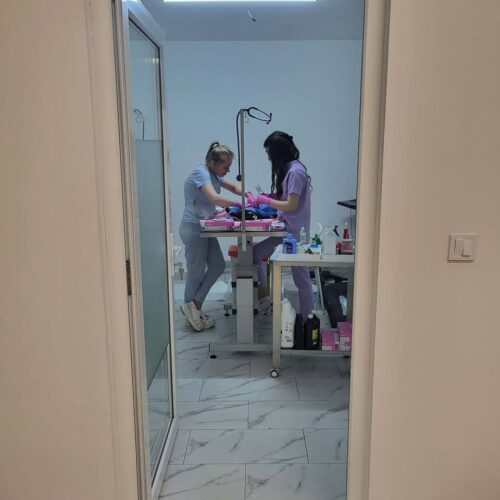 ⚠️ SPRING SPAYATHON – DAY 1 COMPLETE 🐾