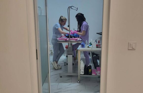 the-great-catsby-668108379_10174040573580029_9075130936513296075_n ⚠️ SPRING SPAYATHON – DAY 1 COMPLETE 🐾