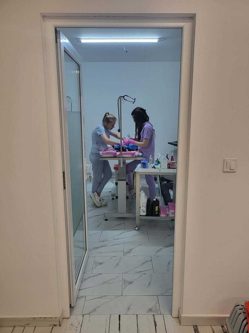 ⚠️ SPRING SPAYATHON – DAY 1 COMPLETE 🐾