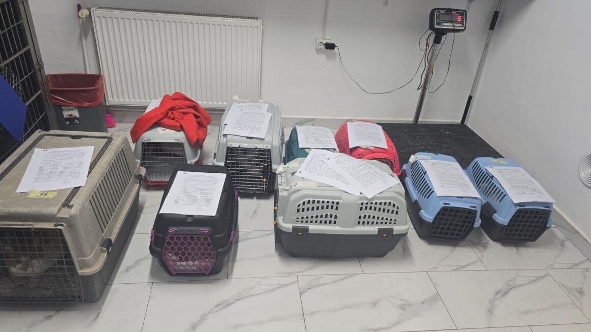 ⚠️ SPRING SPAYATHON – DAY 1 COMPLETE 🐾