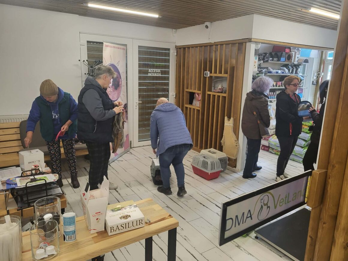 the-great-catsby-photo_1 🔊SPRING SPAYATHON COMPLETE 🐾