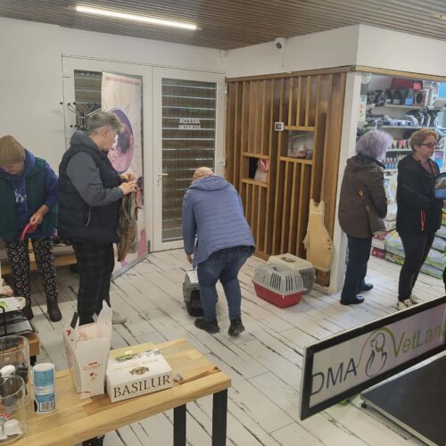 🔊SPRING SPAYATHON COMPLETE 🐾