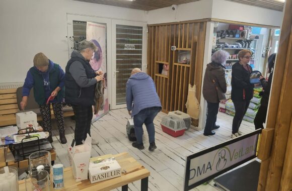 🔊SPRING SPAYATHON COMPLETE 🐾