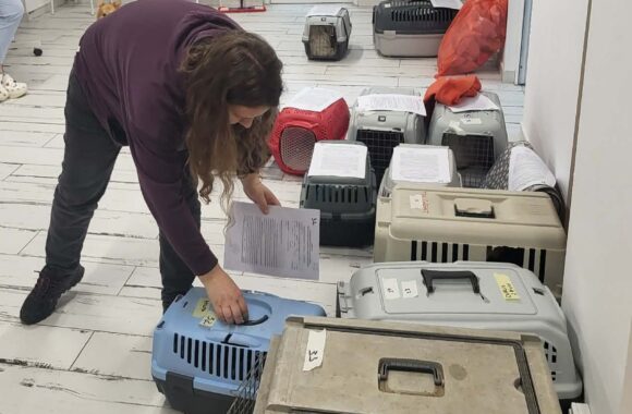 🔊SPRING SPAYATHON COMPLETE 🐾