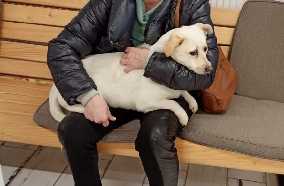 🔊SPRING SPAYATHON COMPLETE 🐾