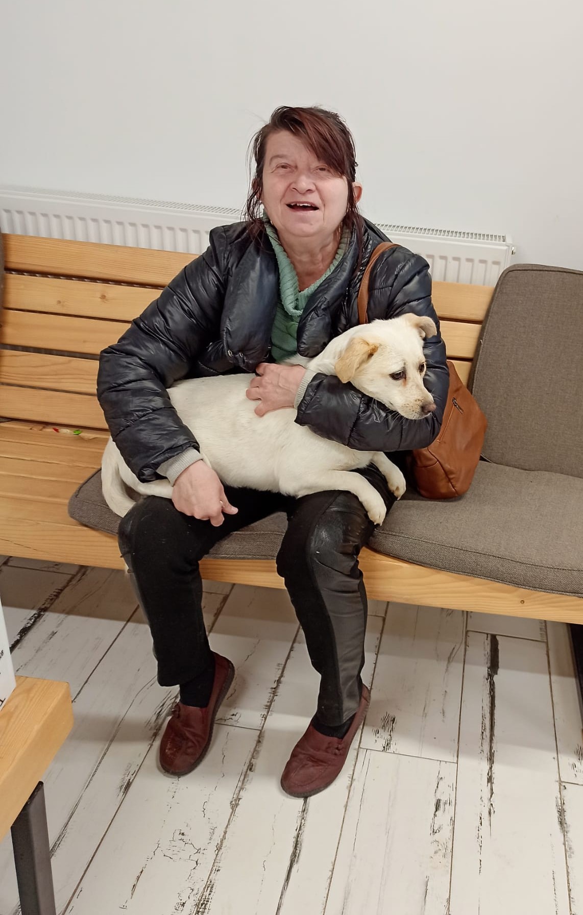 the-great-catsby-photo_15 🔊SPRING SPAYATHON COMPLETE 🐾