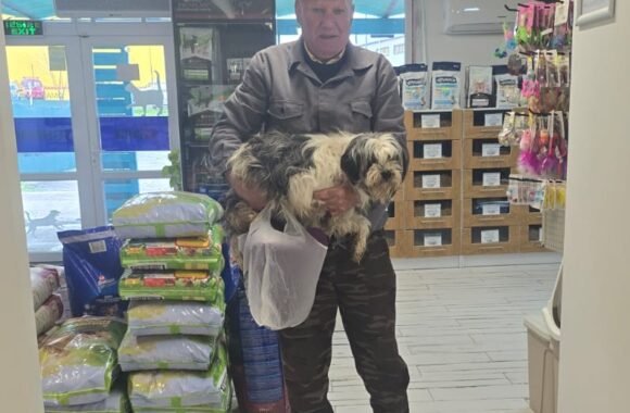 🔊SPRING SPAYATHON COMPLETE 🐾