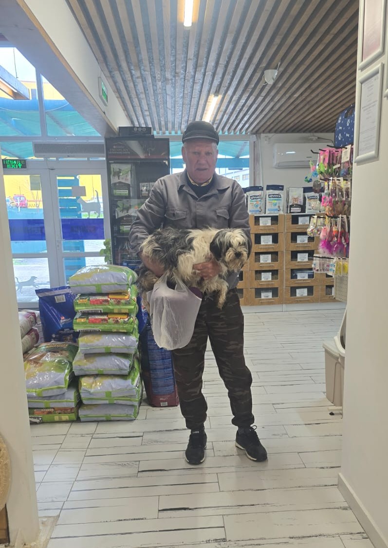 the-great-catsby-photo_16 🔊SPRING SPAYATHON COMPLETE 🐾