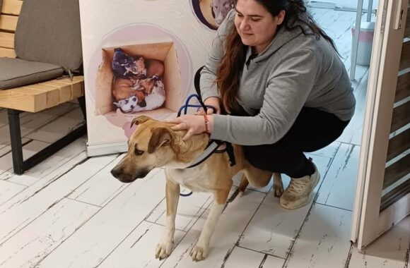 🔊SPRING SPAYATHON COMPLETE 🐾